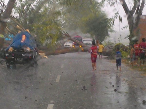 Pohon tumbang yang sempat menghalangi jalan di Desa Tambe Kecamatan Bolo.